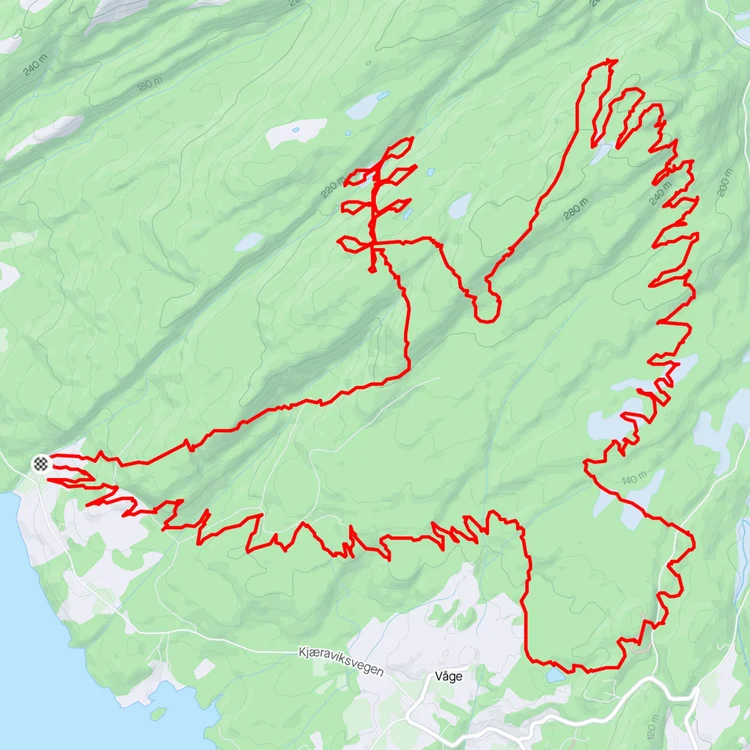 Animal GPS art